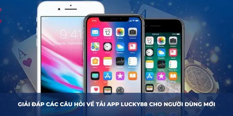 Giải đáp các câu hỏi về tải app LUCKY88 cho người dùng mới